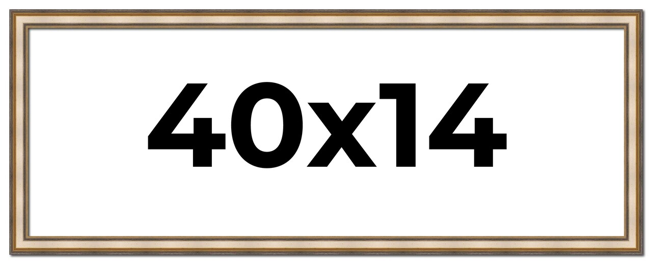 40x14 Refined Silver Picture Frame - UV Acrylic, Foam Board Backing, Hanging Hardware